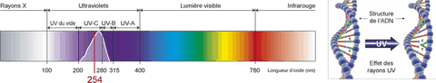 longueur d'onde UV